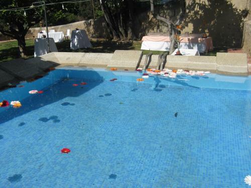 Hotel Masia Can Vive