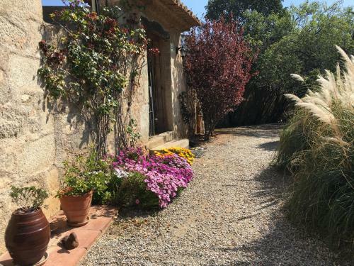 Hotel Masia Can Vive