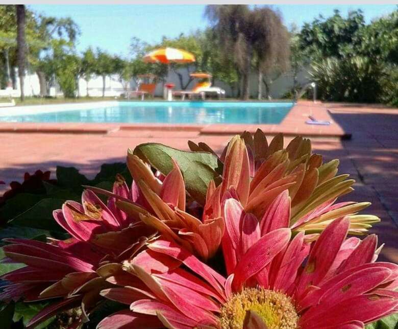 Agroturismo Borgo Fiore Country House