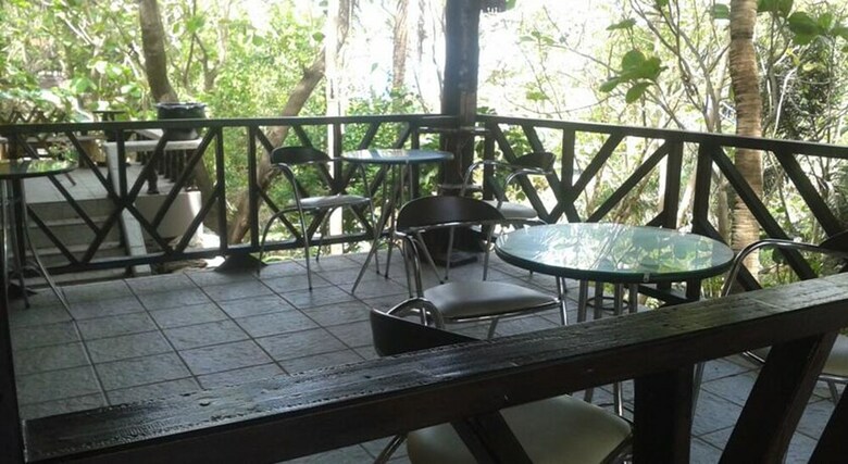 Hostal Jungle Gym & Eco Lodge