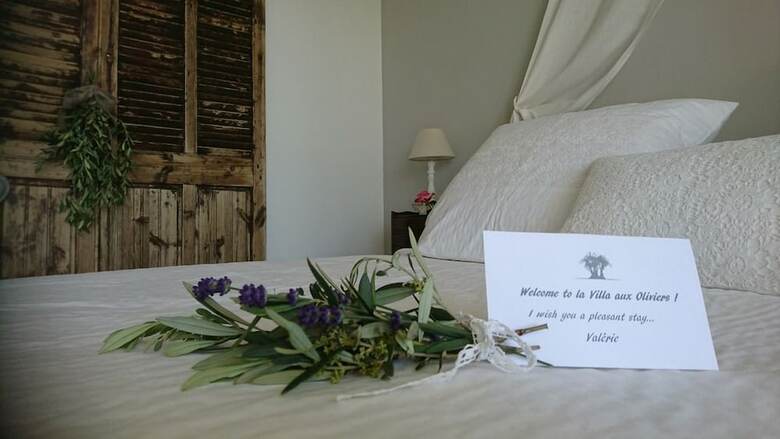 Hotel La Villa Aux Oliviers