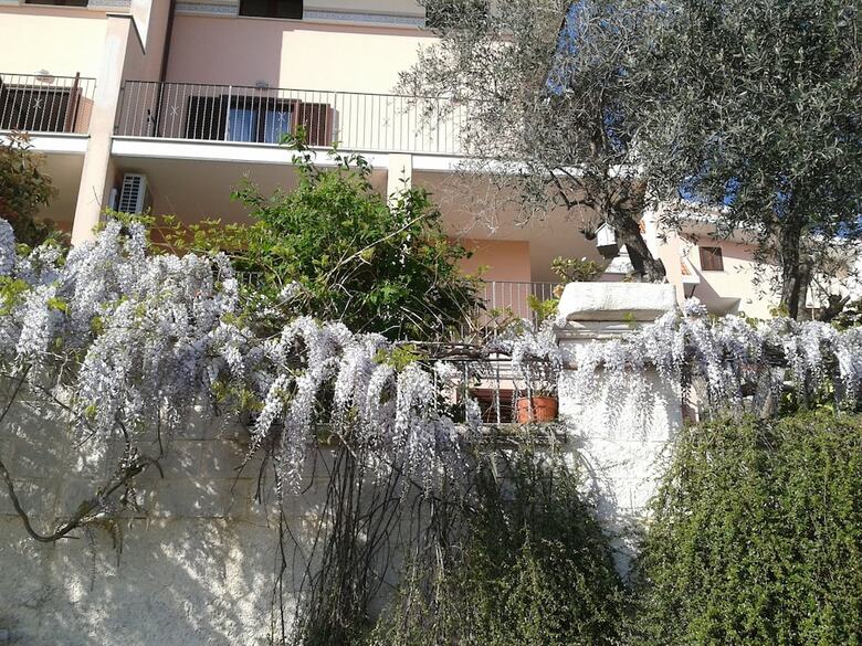 Le Musette B&B