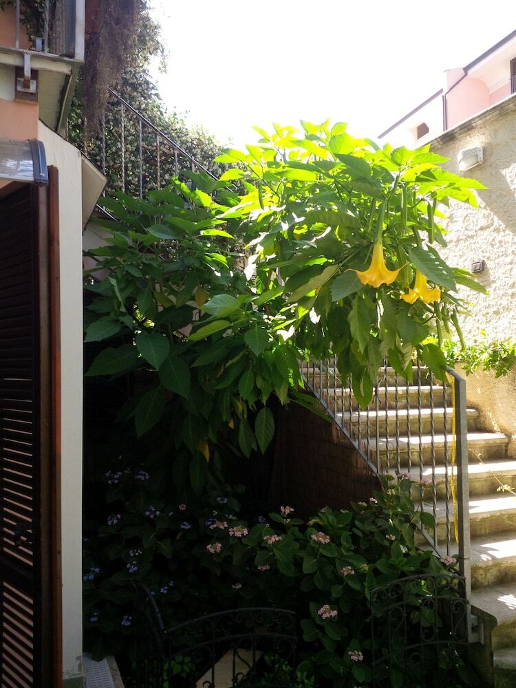Le Musette B&B