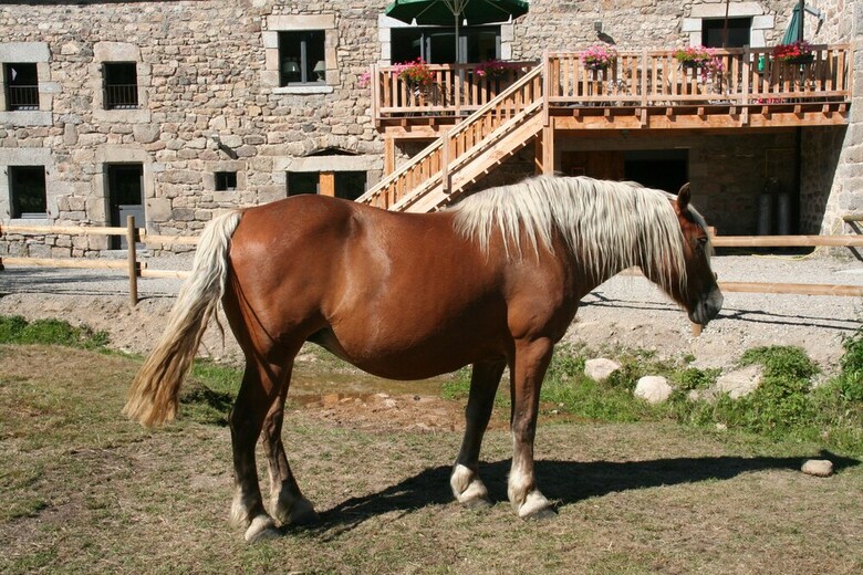 Hotel Les Granges De Bigose