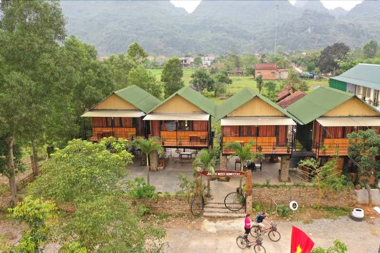 Hotel Jungle Boss Homestay