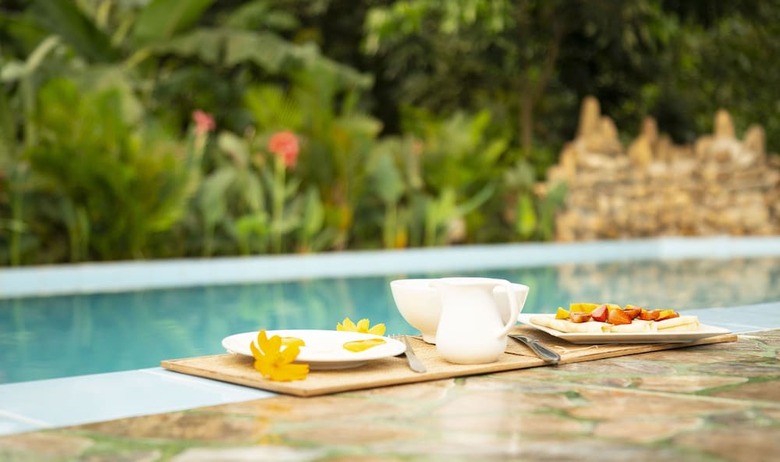 Hotel Jungle Boss Homestay