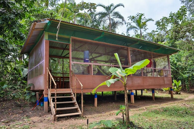 Apartamentos Amazon Canopy Expeditions Ecolodge