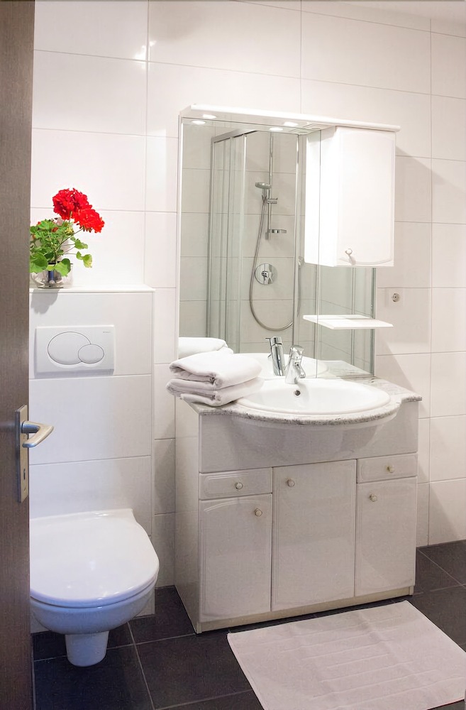 Apartamentos Appartments Zinner-pale