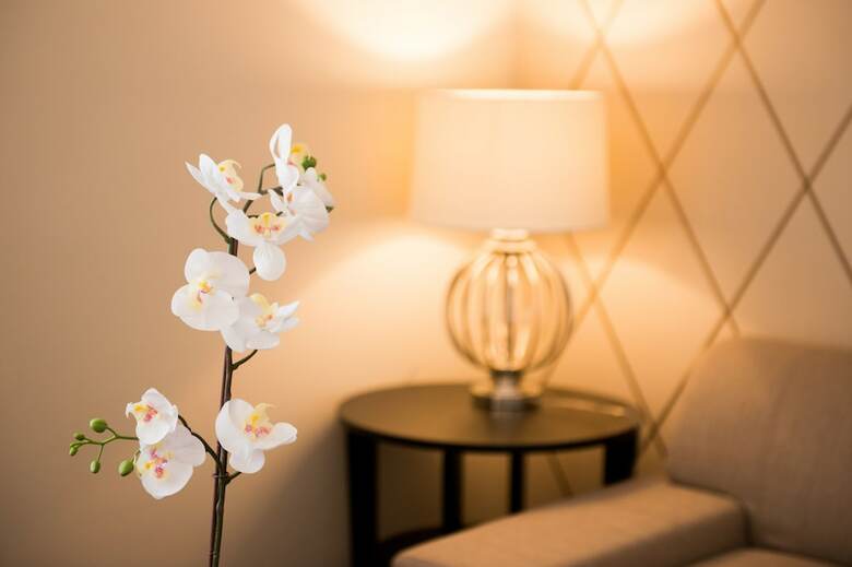 Dfive Apartments - Little Boss