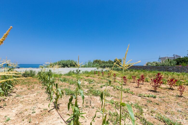 Thalasses Villas Rethymno