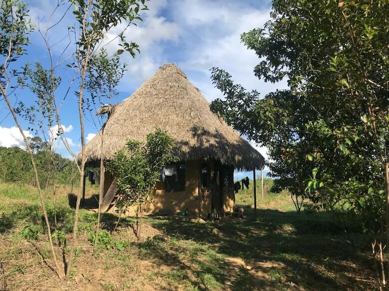 Ayahuaska