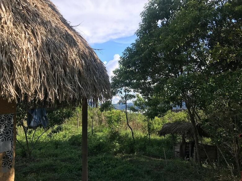 Ayahuaska