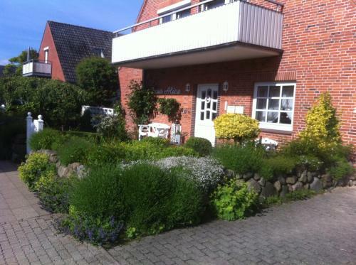 Hostal Pension Alice