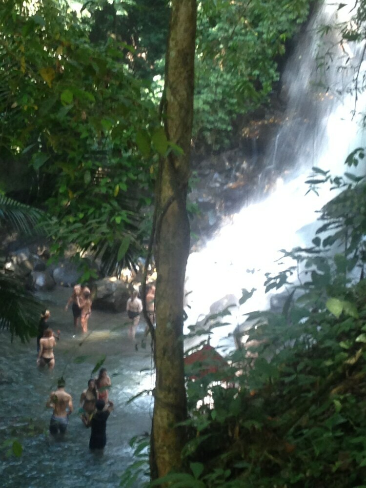 Hotel Wina Ubud B&B