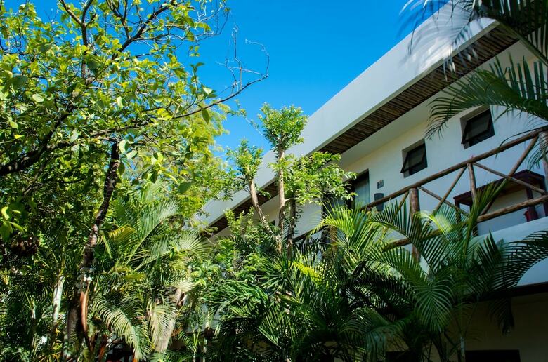 Bed & Breakfast Pacha Tulum Boutique Hotel