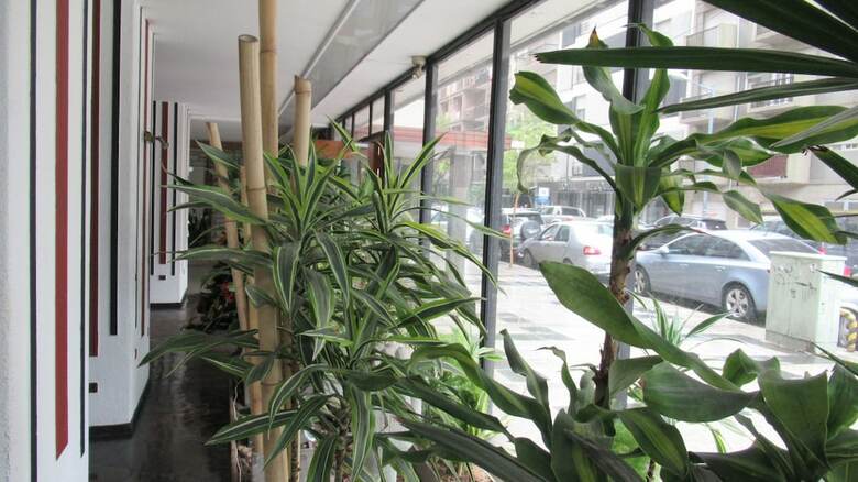 Aparthotel Vistamar Apartment
