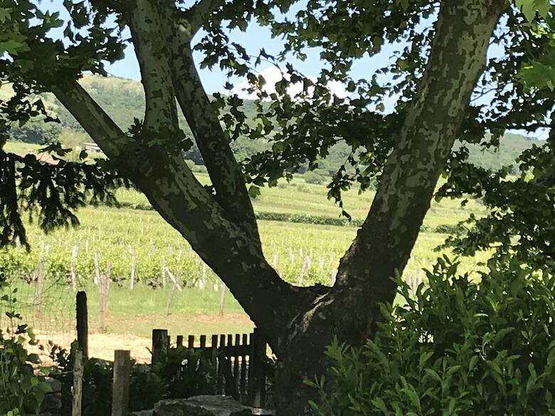 Bed & Breakfast Le Relais de Sciss�