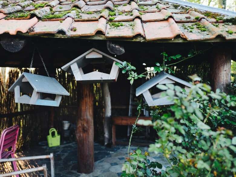 Bed & Breakfast Les Aires En Sc�nes