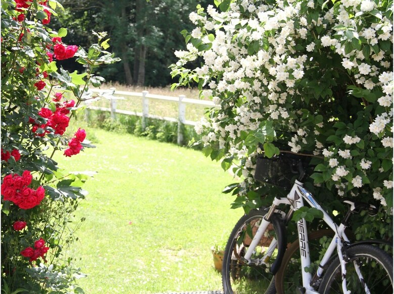 Bed & Breakfast Les Aires En Sc�nes