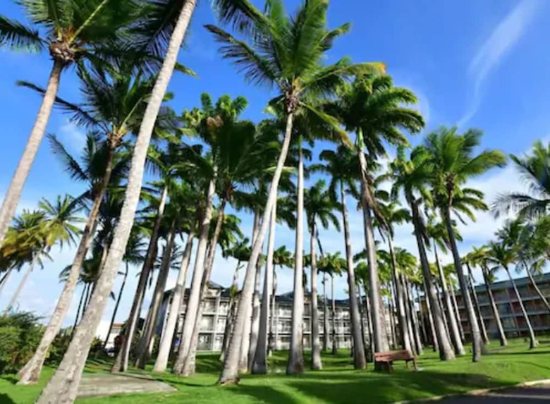 Hotel Bakoua Les Trois Ilets