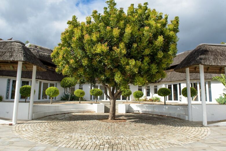 Whalesong Hotel & Spa