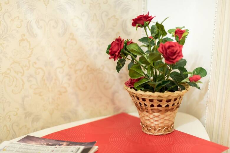 Hostal Hostel Svoi