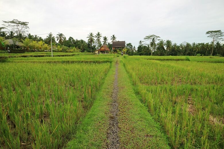 Agroturismo Uma Sari Villa Petulu Ubud