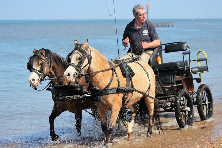 Norfolk Coast B&B Cottages And Camping
