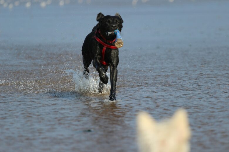 Norfolk Coast B&B Cottages And Camping