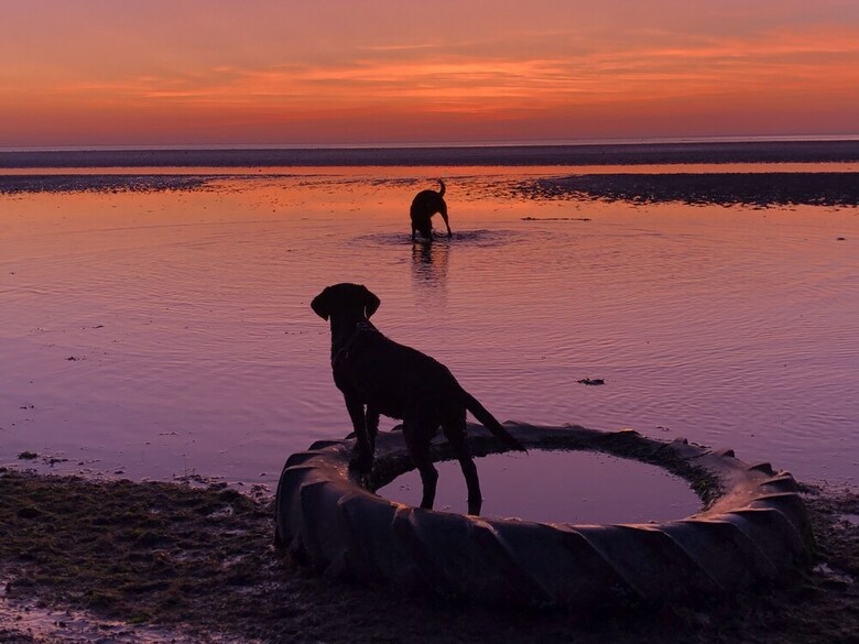 Norfolk Coast B&B Cottages And Camping