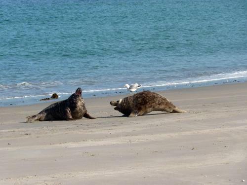 Apartamento Appartmenthaus Silberm�we