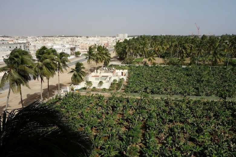 Grand Tayba Hotel