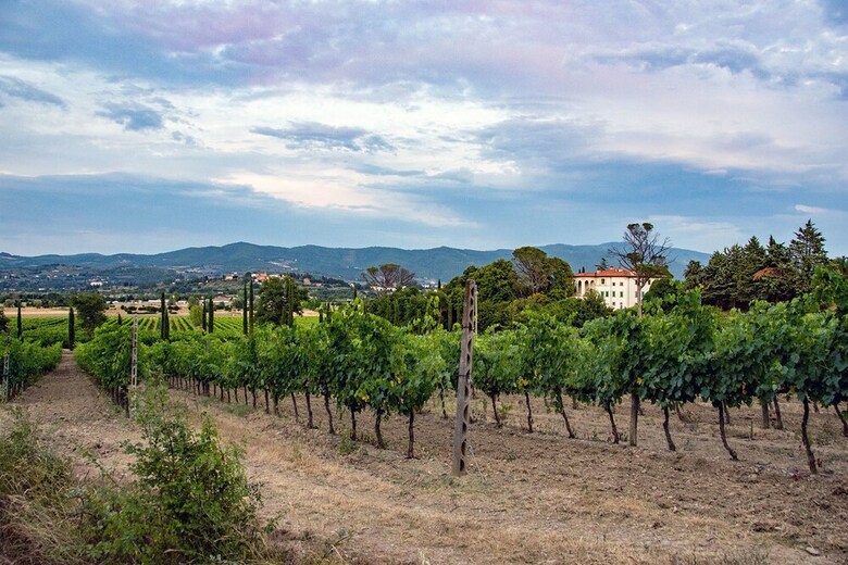 Agroturismo Villa Albergotti