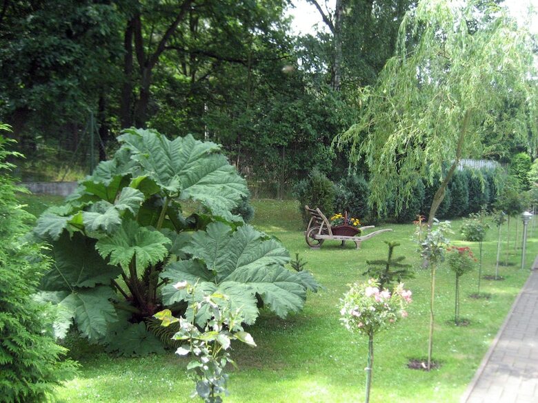 Apartamentos Haus Am Wald