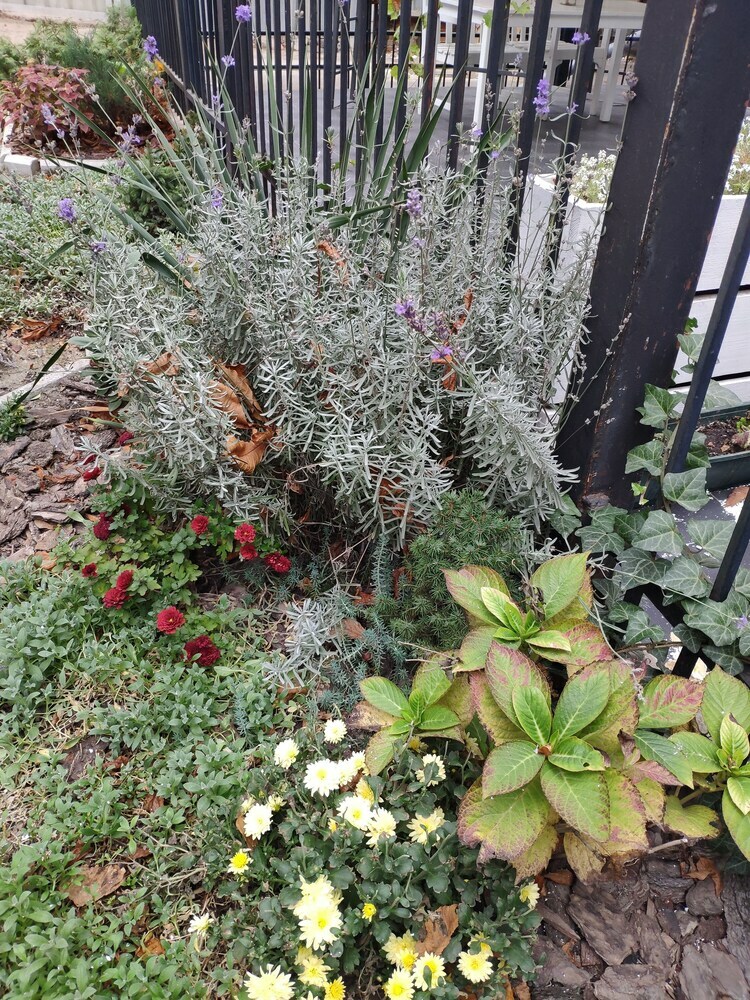 Bed & Breakfast Dom Rabinovicha