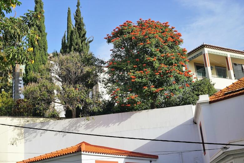 Apartamentos ! Your Home In Madeira II