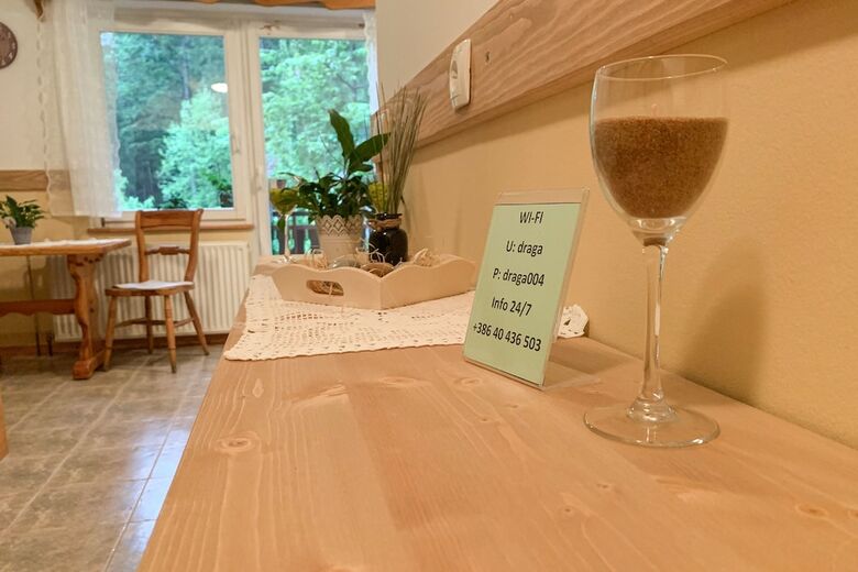 Pension Gostisce Draga