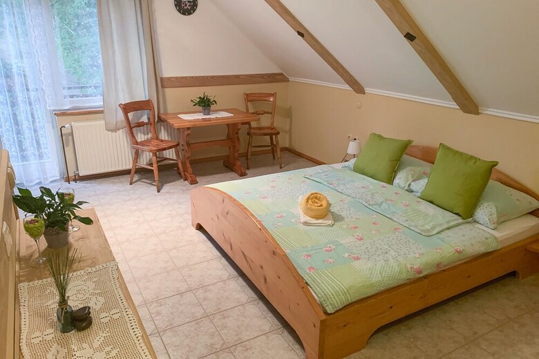 Pension Gostisce Draga