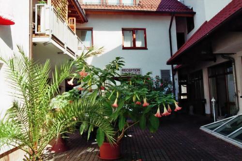Hotel Zum L�wen