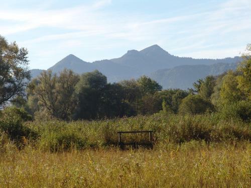 Hostal Zum Fischer Am See
