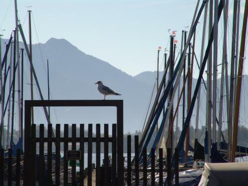Hostal Zum Fischer Am See