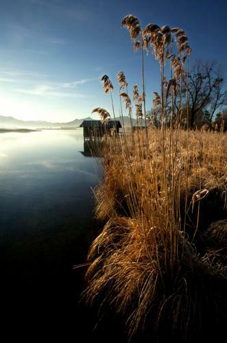 Hostal Zum Fischer Am See