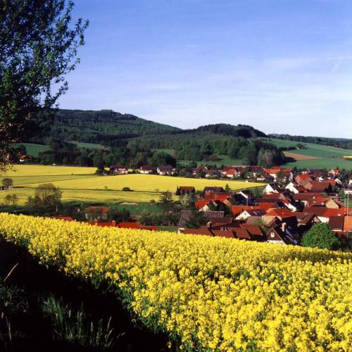 Hostal Gasthaus Johanning Zur Erholung