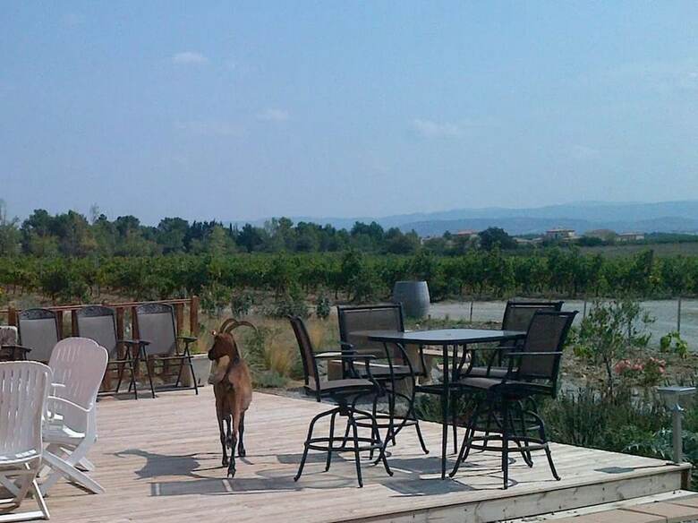 Hotel O'vineyards Winery And B&B