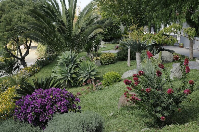Apartamento Casa Ischitana