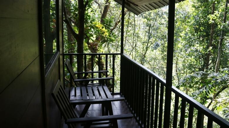 Birds Paradise Hotel