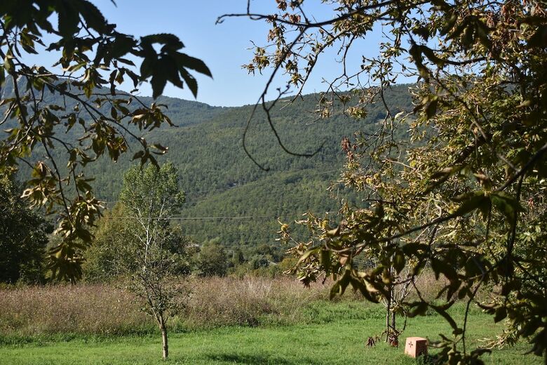 Agroturismo Podere Di Maggio