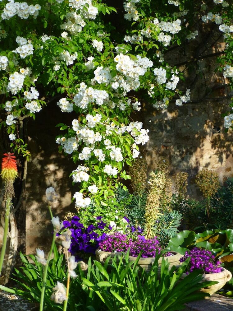 Agroturismo Podere Di Maggio