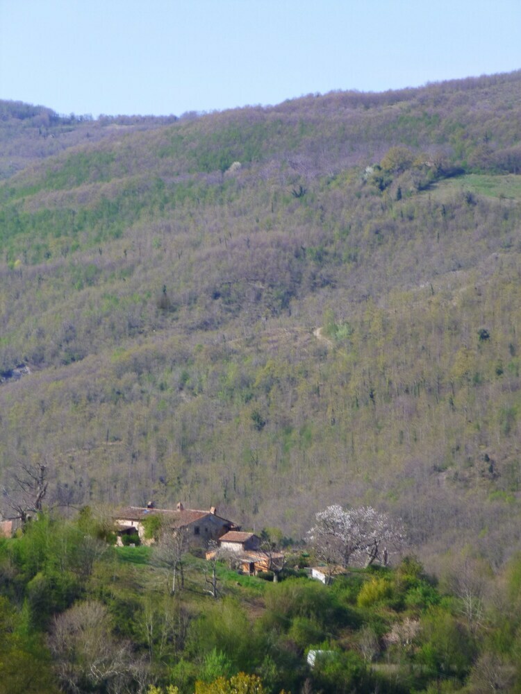Agroturismo Podere Di Maggio
