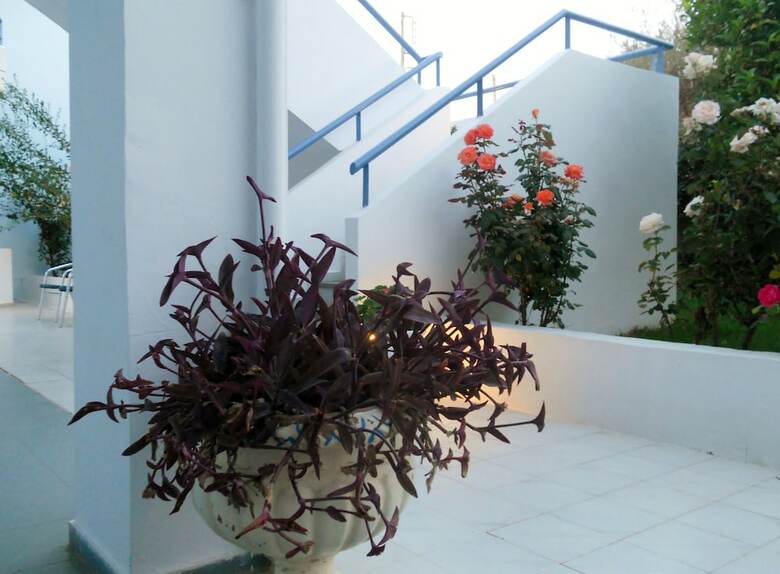 Aparthotel Dimitra Apartment Hotel
